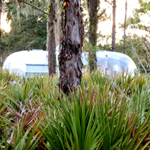 Vintage Airstream 5